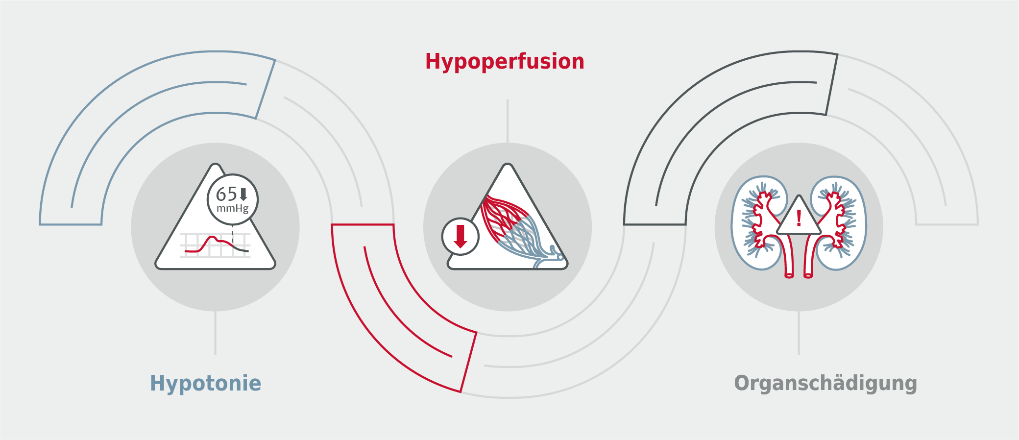 Hypoperfusion und Organsch&auml;digungen